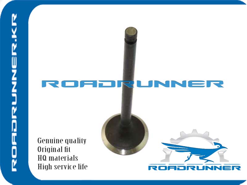 RR-1010A203 Клапан двигателя впускной
